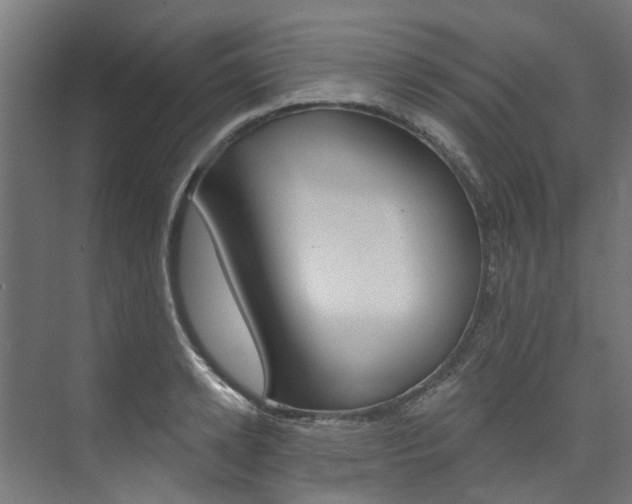 X0000074040942200608211158