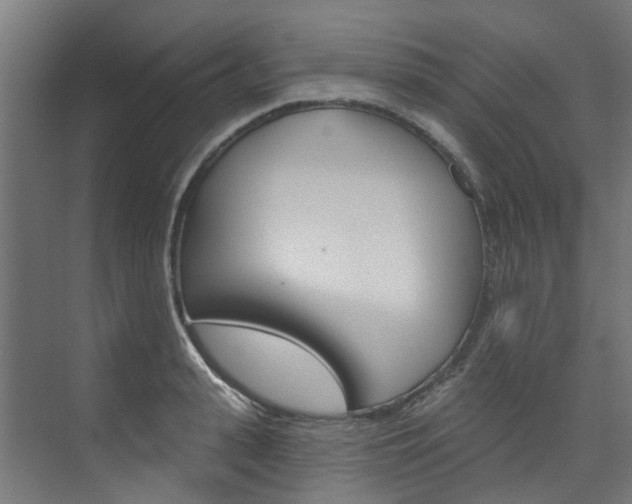 X0000074040943200608211158