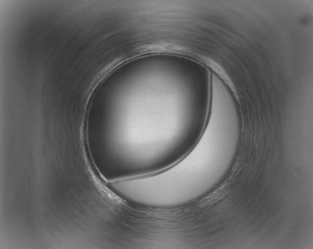 X0000074040946200608211158