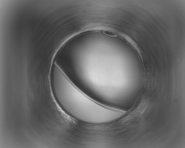 X0000074040951200608211159