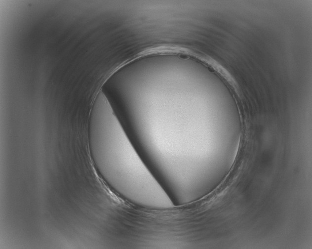 X0000074040953200608211159