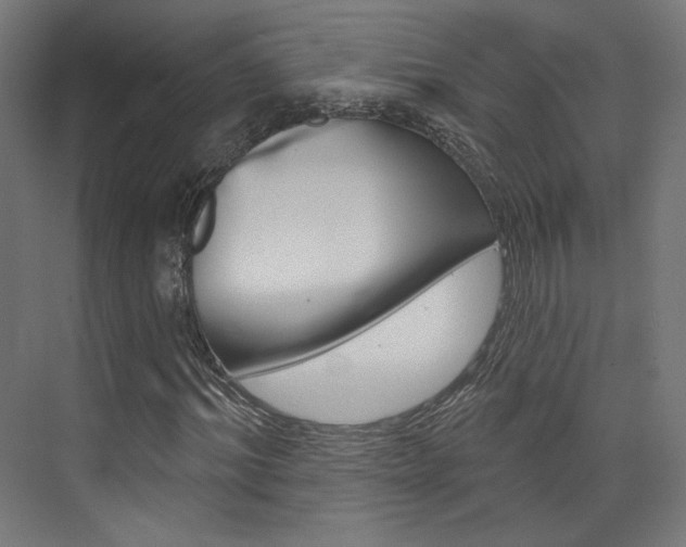 X0000074040964200608211158