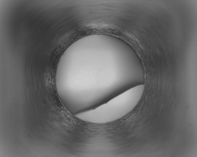 X0000074040966200608211158