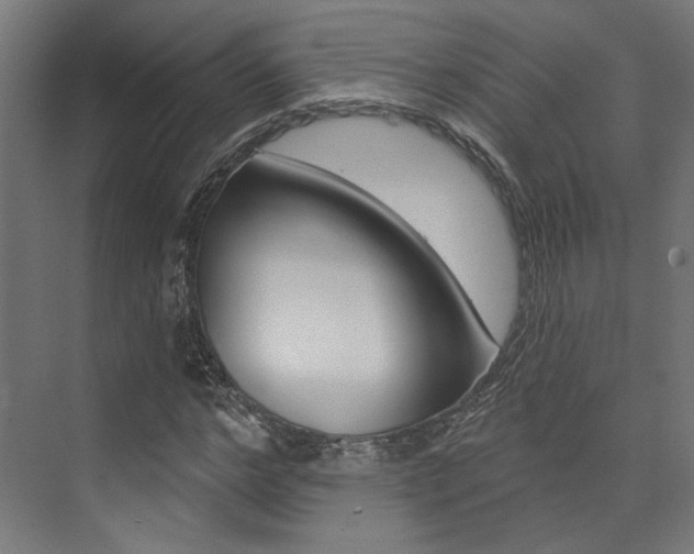 X0000074040968200608211158