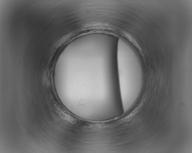 X0000074040970200608211158