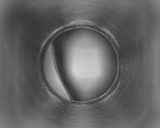 X0000074040973200608211158