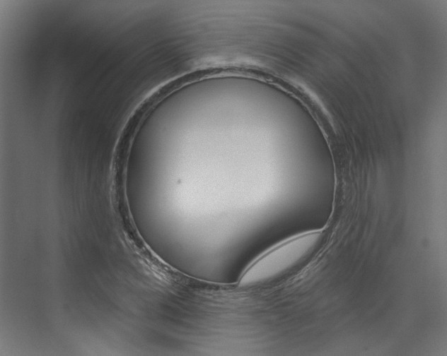 X0000074040975200608211158