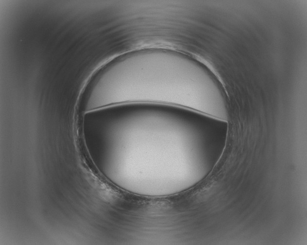 X0000074040979200608211158