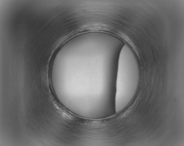 X0000074040986200608211157
