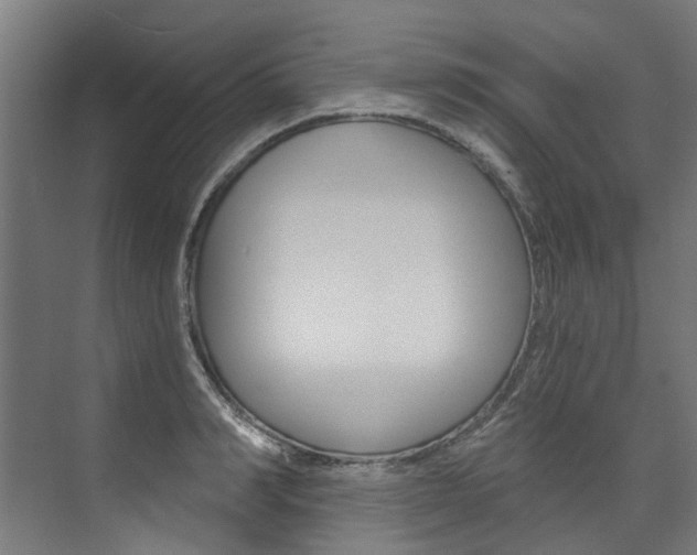 X0000074040990200608211157