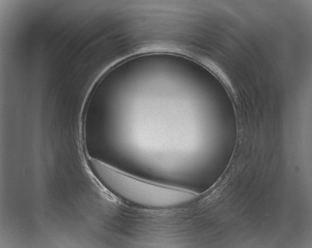 X0000074040996200608211157