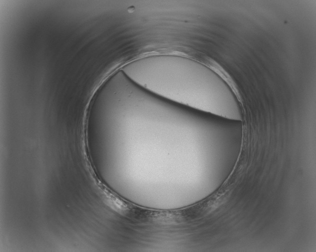 X0000074041002200608211157