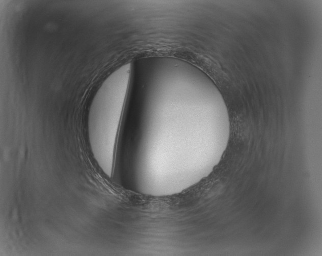 X0000074041009200608211156