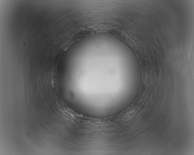 X0000074041010200608211156