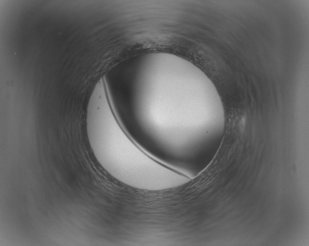 X0000074041012200608211156