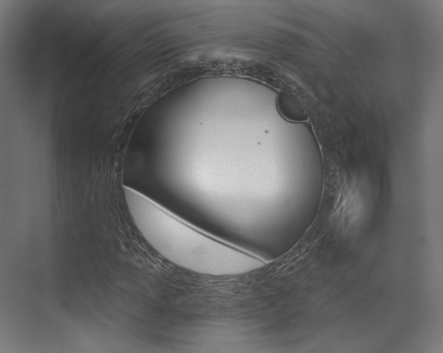 X0000074041013200608211156