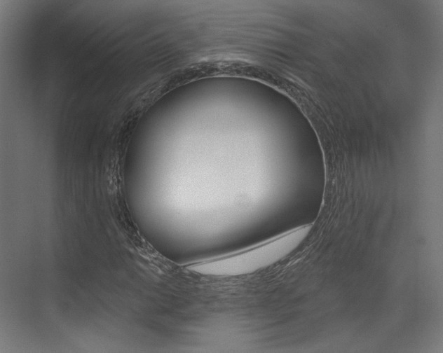 X0000074041014200608211156
