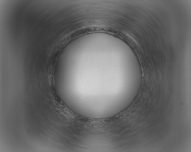 X0000074041015200608211156