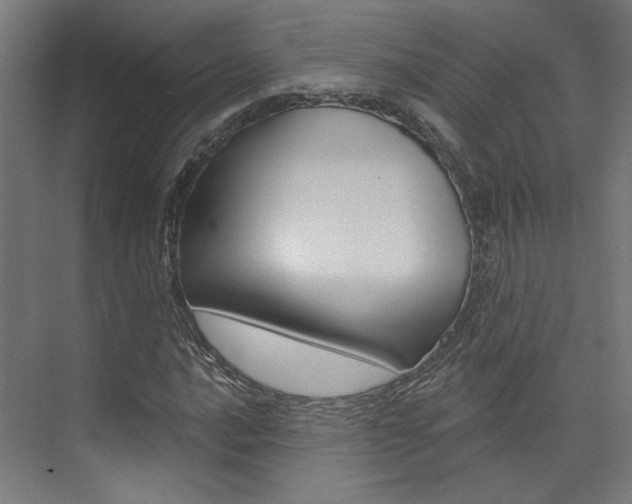 X0000074041016200608211156
