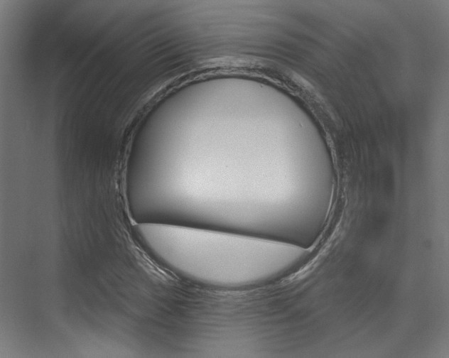 X0000074041017200608211156