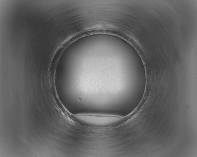 X0000074041018200608211156