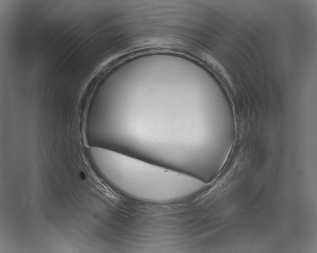 X0000074041019200608211156