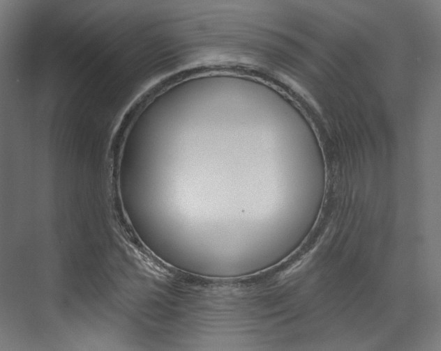 X0000074041021200608211156