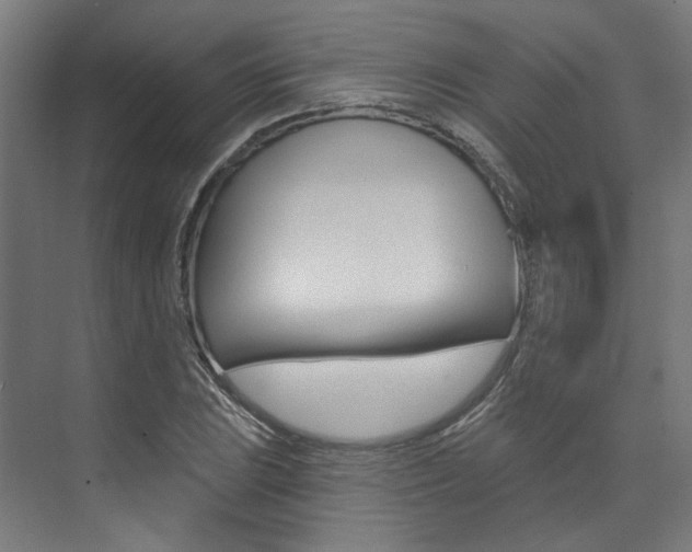 X0000074041023200608211157