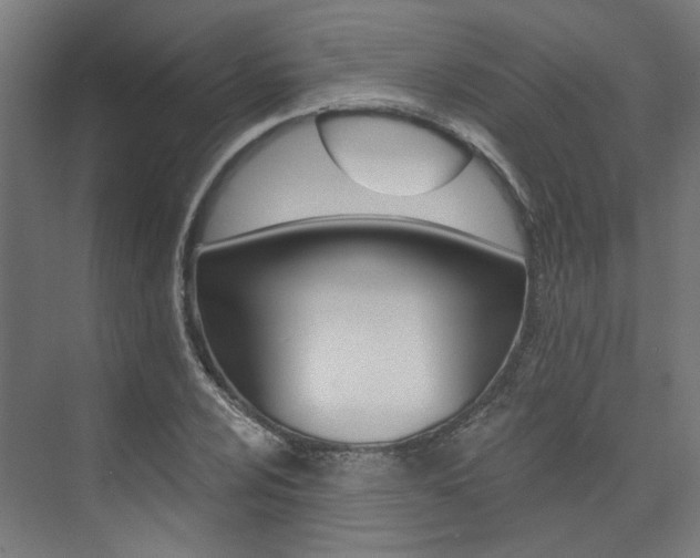 X0000074041024200608211157