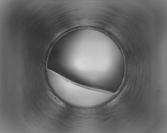 X0000074041025200608211157