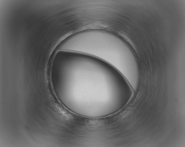 X0000074041026200608211157
