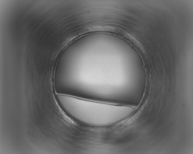 X0000074041033200608211157