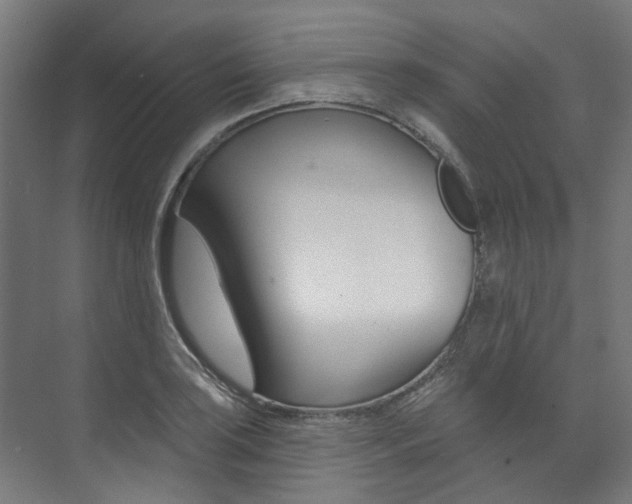 X0000074041035200608211157