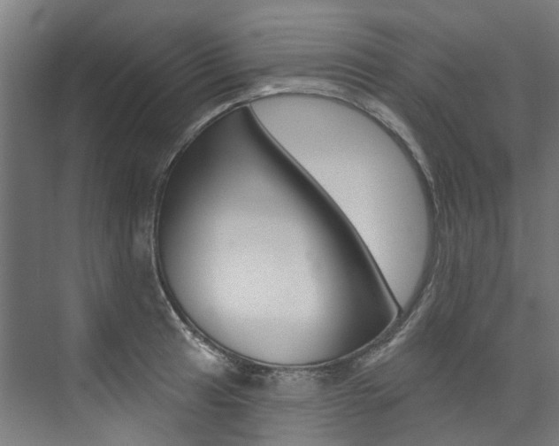 X0000074041041200608211157