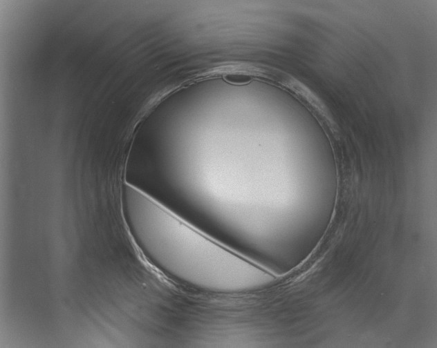 X0000074041049200608211157