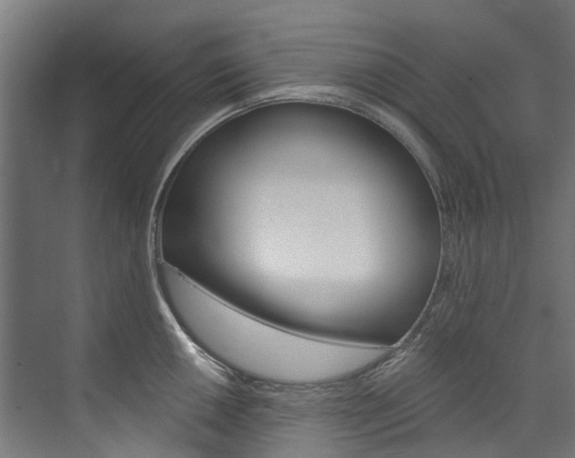 X0000074041050200608211157