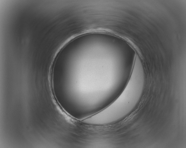 X0000074041054200608211157