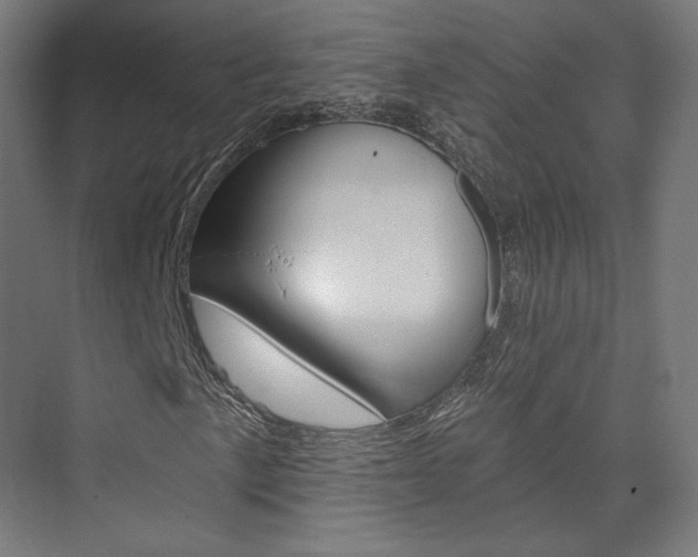 X0000074041057200608211156