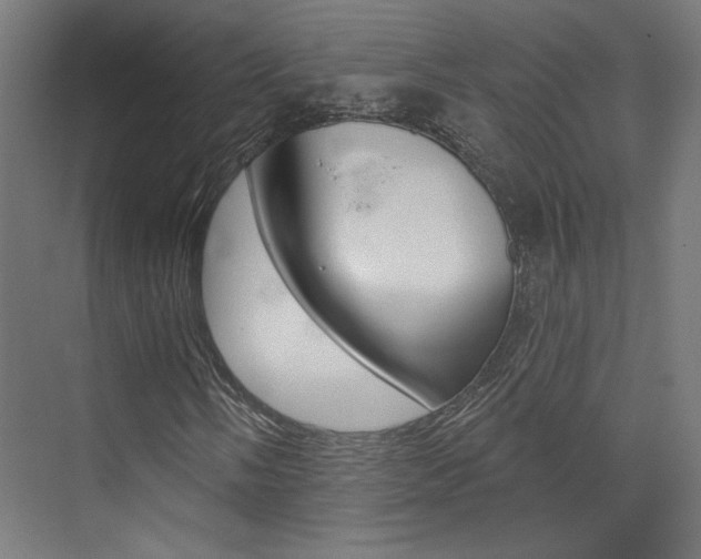 X0000074041058200608211156