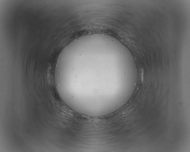 X0000074041059200608211156