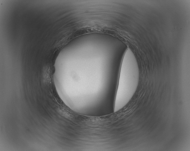 X0000074041060200608211156