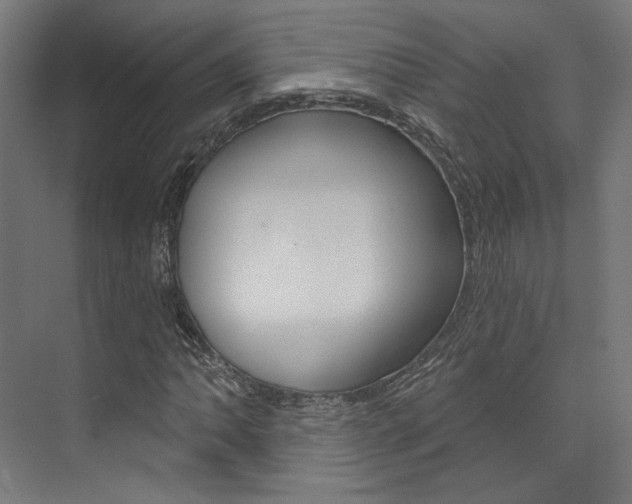 X0000074041062200608211156
