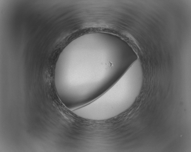 X0000074041064200608211156
