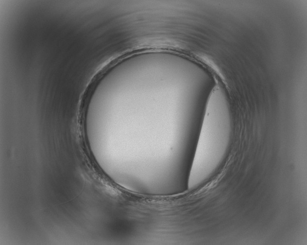 X0000074041071200608211156