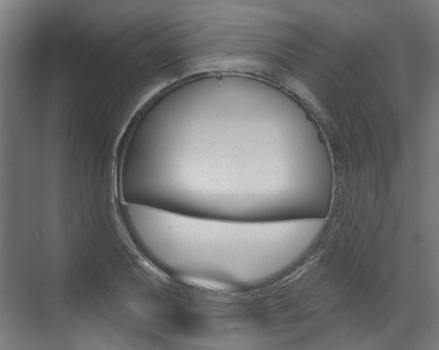 X0000074041079200608211156