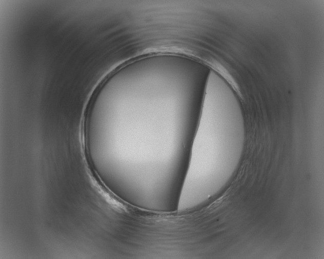 X0000074041084200608211156