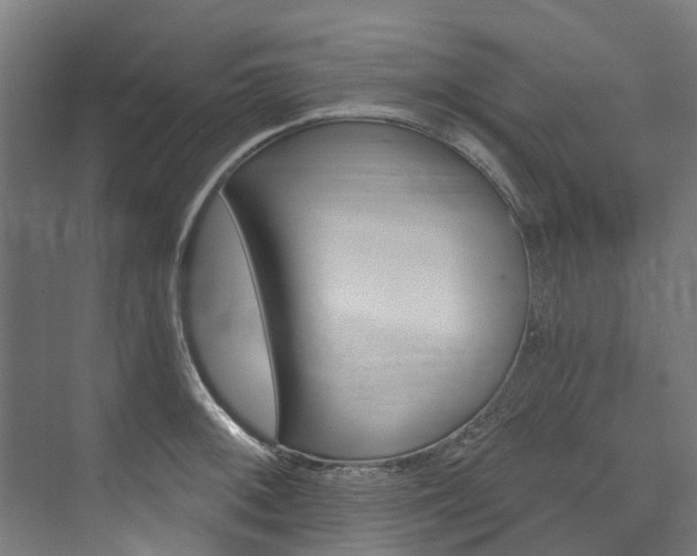 X0000074041092200608211156