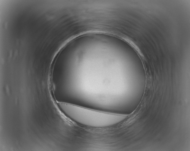 X0000074041101200608211156