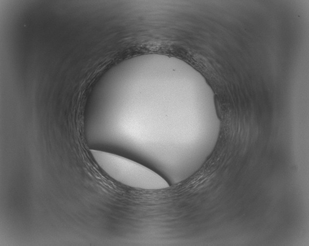 X0000074041105200608211155