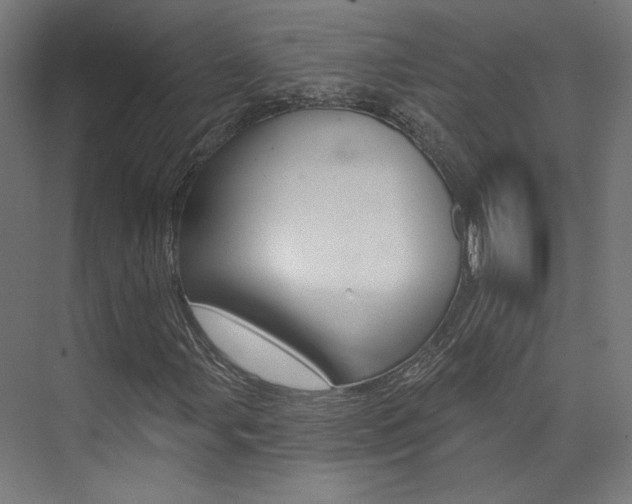 X0000074041107200608211155